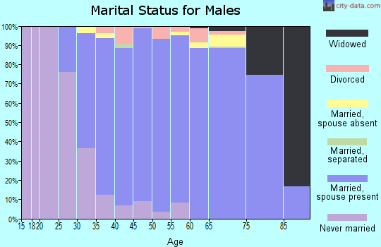 Zip code 20124 marital status for males