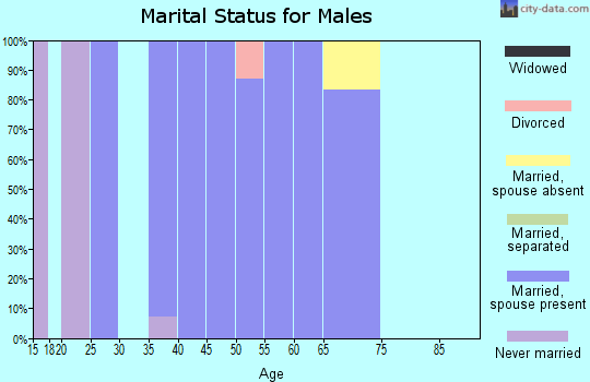 Zip code 20129 marital status for males