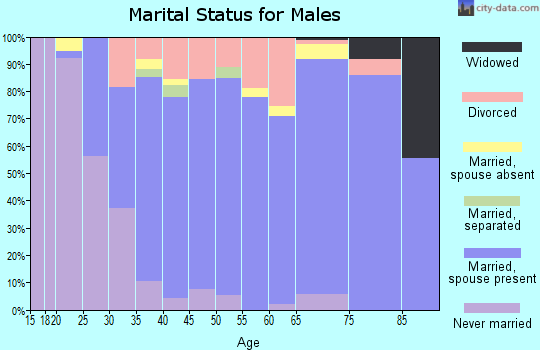 Zip code 20132 marital status for males