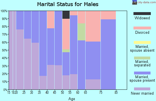 Zip code 20135 marital status for males