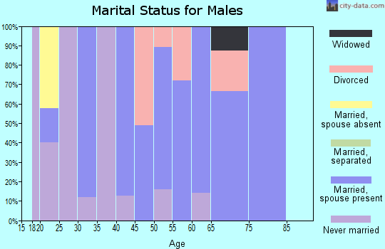 Zip code 20137 marital status for males