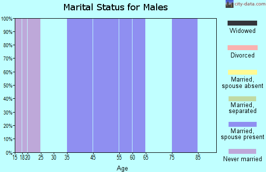 Zip code 20138 marital status for males