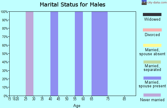 Zip code 20139 marital status for males