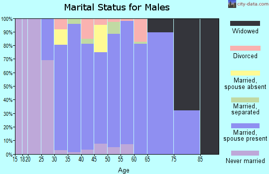 Zip code 20141 marital status for males