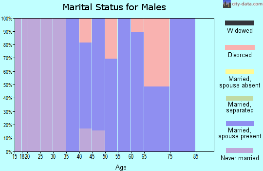 Zip code 20144 marital status for males