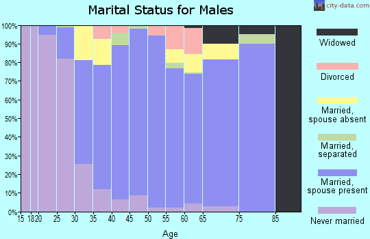 Zip code 20151 marital status for males