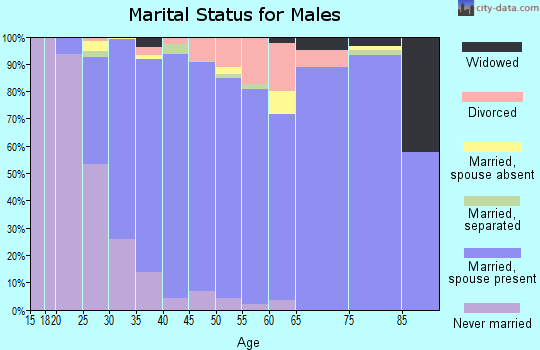 Zip code 20155 marital status for males