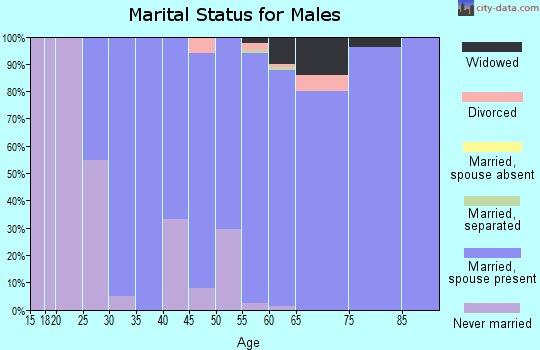 Zip code 20158 marital status for males