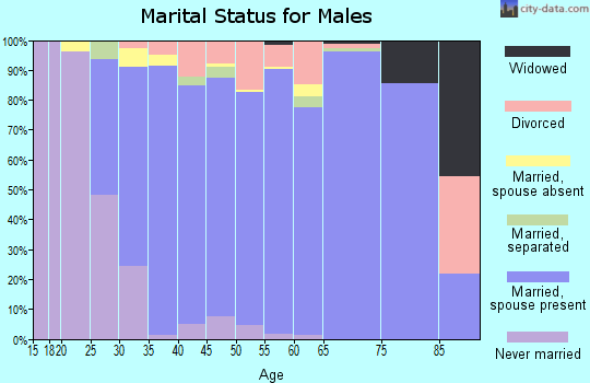 Zip code 20169 marital status for males
