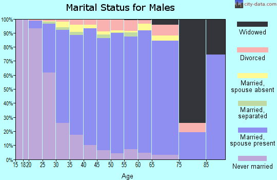 Zip code 20171 marital status for males