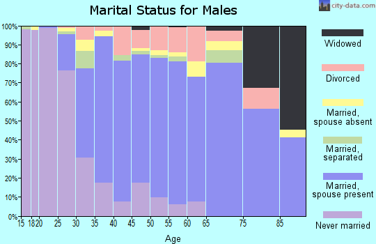 Zip code 20175 marital status for males