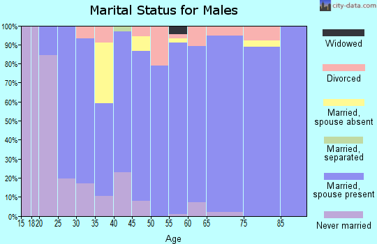 Zip code 20180 marital status for males