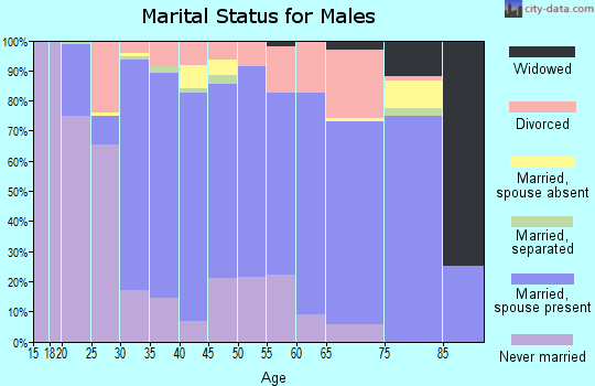 Zip code 20186 marital status for males