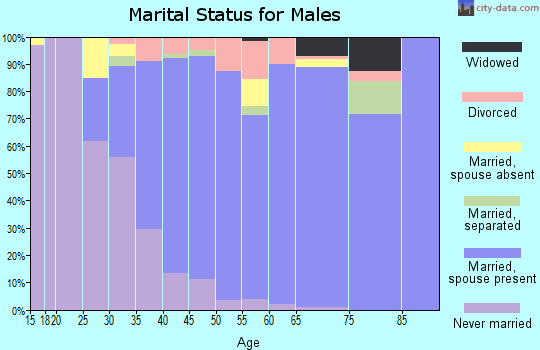 Zip code 20187 marital status for males