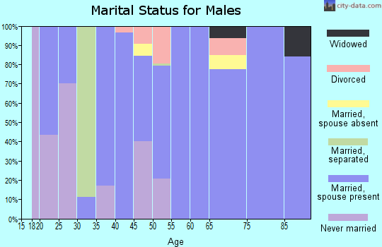 Zip code 20198 marital status for males