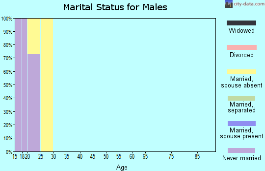 Zip code 20319 marital status for males
