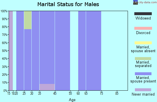 Zip code 20332 marital status for males