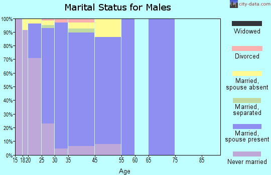Zip code 20336 marital status for males