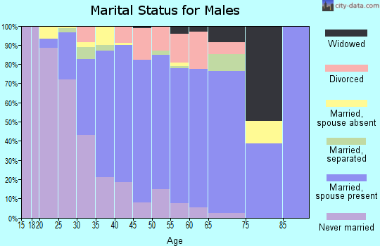 Zip code 20601 marital status for males