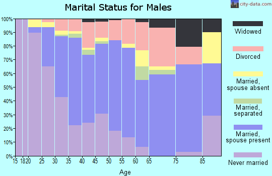 Zip code 20602 marital status for males