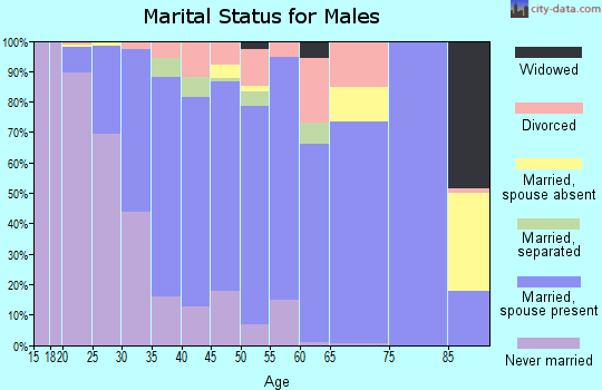 Zip code 20603 marital status for males