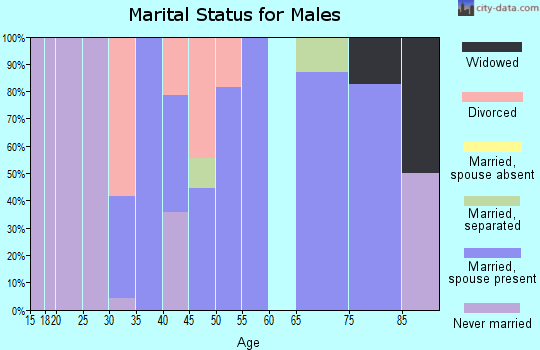 Zip code 20608 marital status for males
