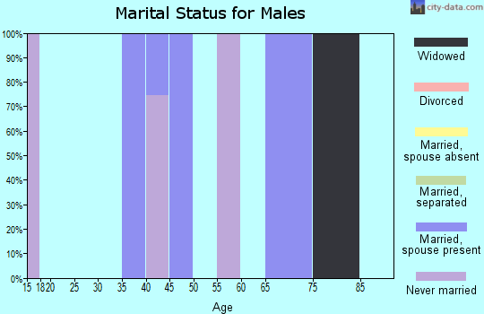 Zip code 20615 marital status for males