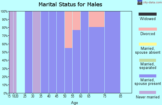 Zip code 20617 marital status for males