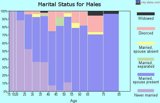 Zip code 20619 marital status for males