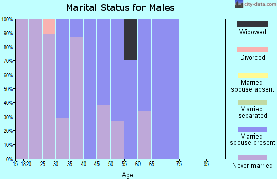 Zip code 20623 marital status for males