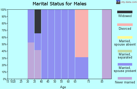 Zip code 20625 marital status for males