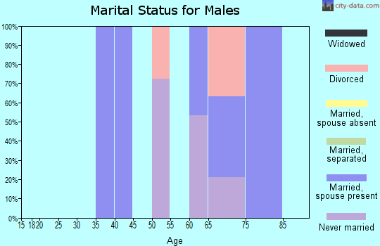 Zip code 20626 marital status for males