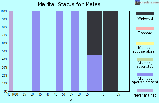 Zip code 20628 marital status for males