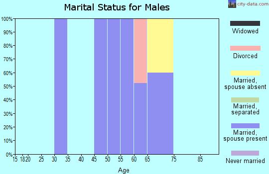Zip code 20630 marital status for males