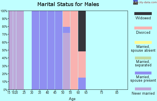 Zip code 20632 marital status for males