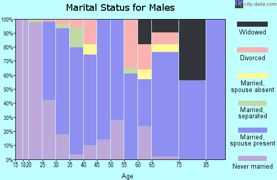Zip code 20634 marital status for males