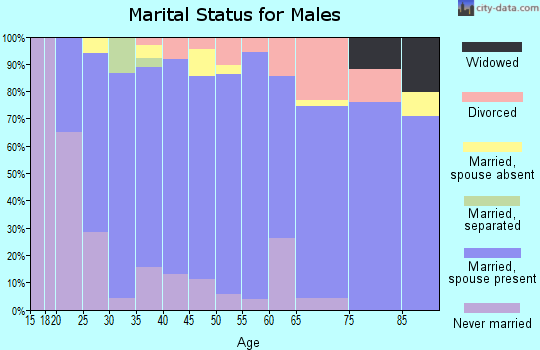 Zip code 20636 marital status for males