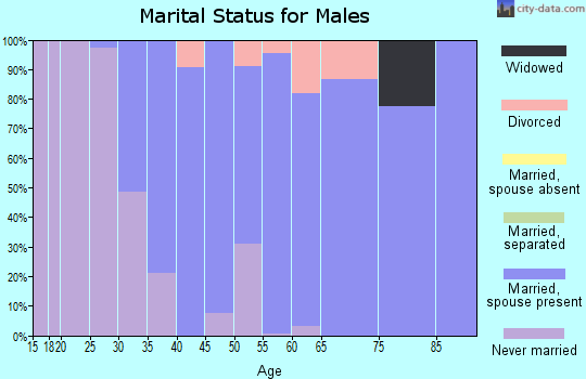Zip code 20637 marital status for males