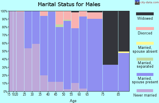 Zip code 20639 marital status for males