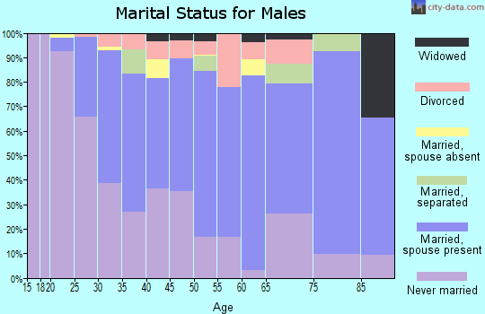 Zip code 20640 marital status for males