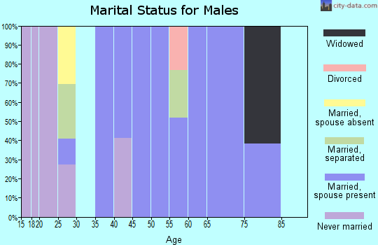 Zip code 20645 marital status for males