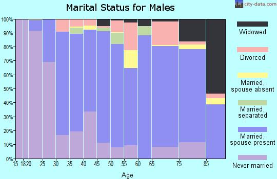 Zip code 20650 marital status for males