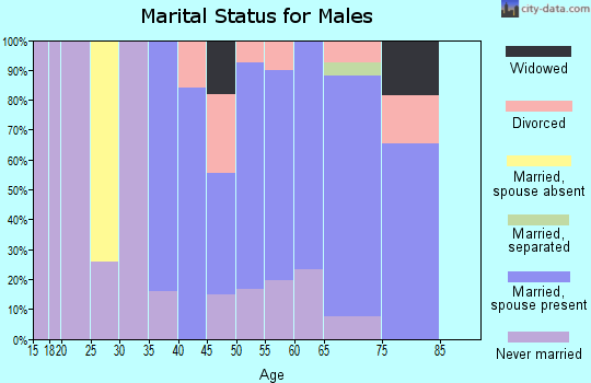 Zip code 20662 marital status for males