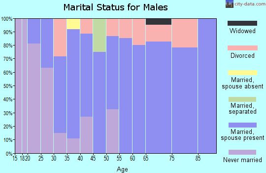 Zip code 20664 marital status for males