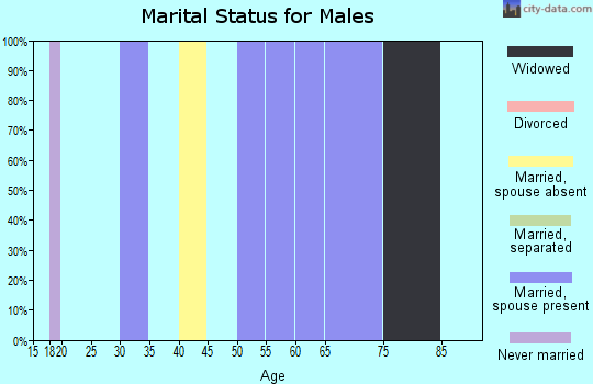 Zip code 20667 marital status for males