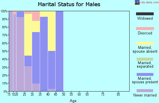 Zip code 20670 marital status for males