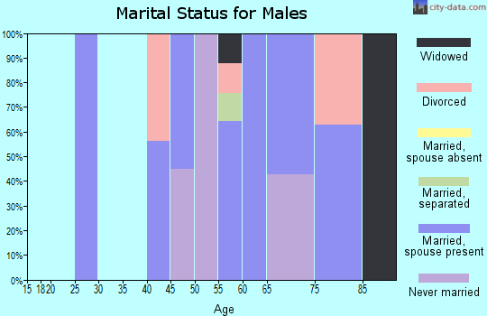 Zip code 20674 marital status for males