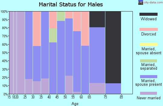 Zip code 20676 marital status for males