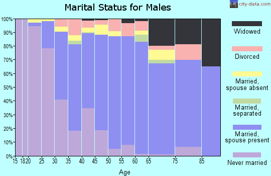 Zip code 20678 marital status for males