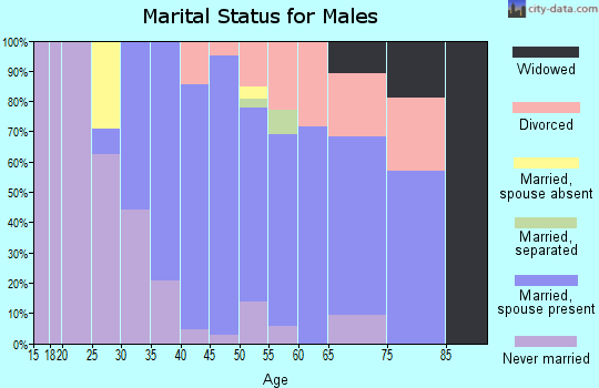 Zip code 20685 marital status for males